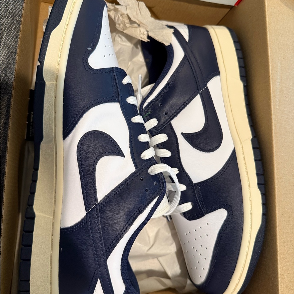 Nike Blue and White Dunk Sneakers Classic Design